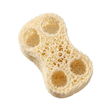 Natural loofah sponge isolated on black background