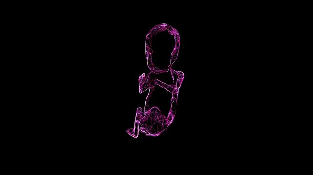 Neon Purple Embryo Silhouette in Dark Background Medical Animation
