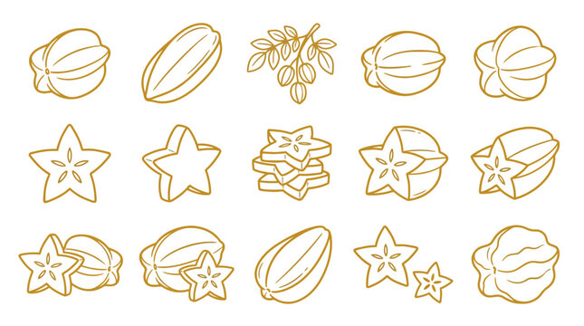 Set of hand drawn starfruit carambola icons in outline style.