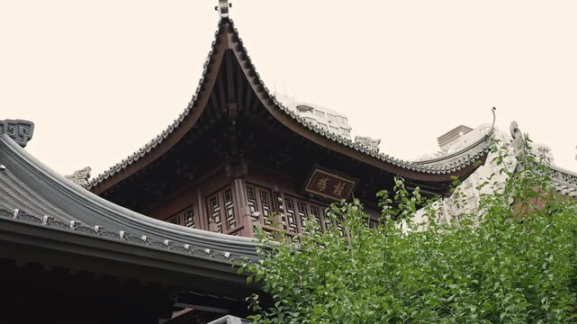 Shanghai, China, Jade Buddha Temple. Ornate temple roofs and carved woodwork remain framed by leafy trees at Shanghai's Jade Buddha Temple in China