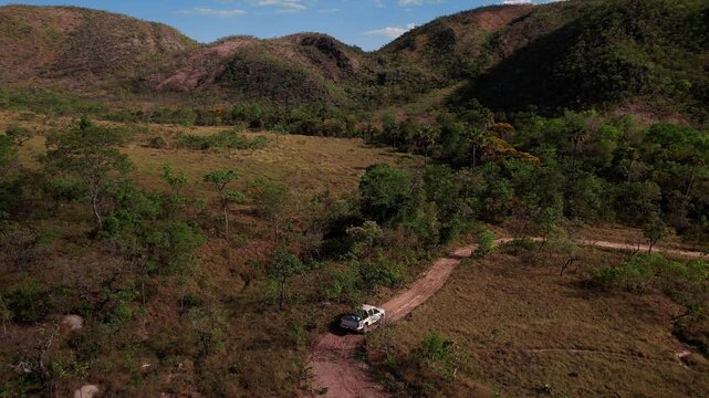 White pickup on a dirt road beside a vereda gallery strip with buriti palms and a flowering yellow ipe, dry grass before a long ridge, late afternoon, Cerrado, Goias, Brazil, drone tracking