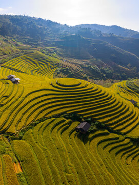 Aerial view of golden rice terraces at Mu Cang Chai town near Sapa city, North of Vietnam. Beautiful terraced rice field in harvest season in Lao Cai province.
