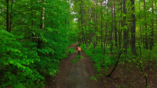 Active cyclist traveling along green forest bike trail