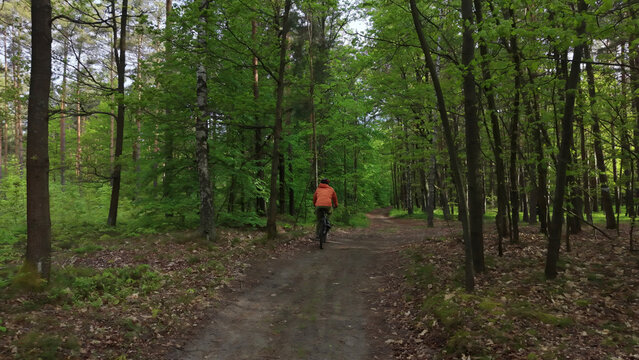 Bicycle rider enjoying outdoor recreation in forest nature