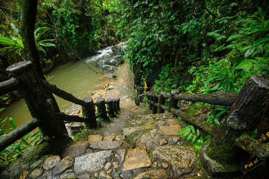 Serene Jungle Trail with Stone Steps and Wooden Handrails Near a Water Stream