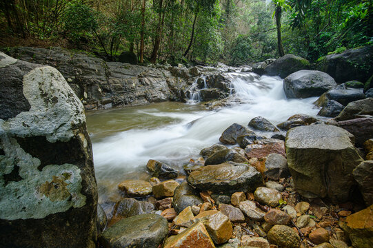 tranquil mountain stream flowing over rocks in lush green forest setting
