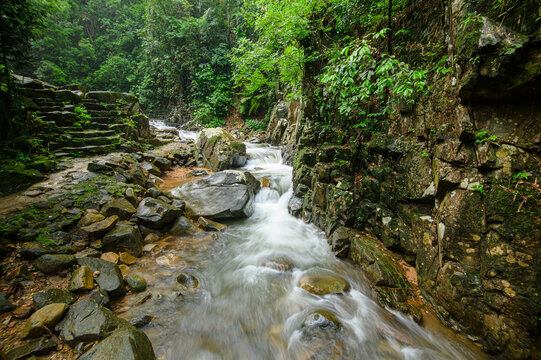 Serene Mountain Stream Flowing Through Dense Forest and Rocky Terrain