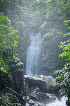 Serene Forest Waterfall with Lush Green Foliage and Misty Atmosphere