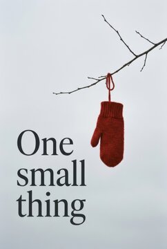 Red woolen mitten hanging delicately from a bare tree branch against a soft overcast sky, evoking minimalist winter textures and quiet isolation.