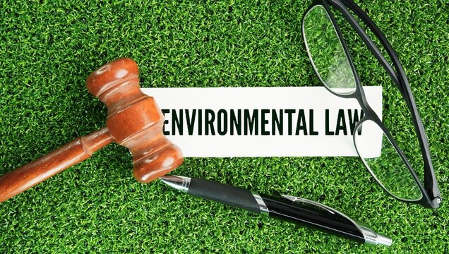 Judge's hammer, pen and paper with the word Environmental law is a collection of treaties, statutes, regulations, and policies designed to protect the natural environment, preserve ecosystems, and esg