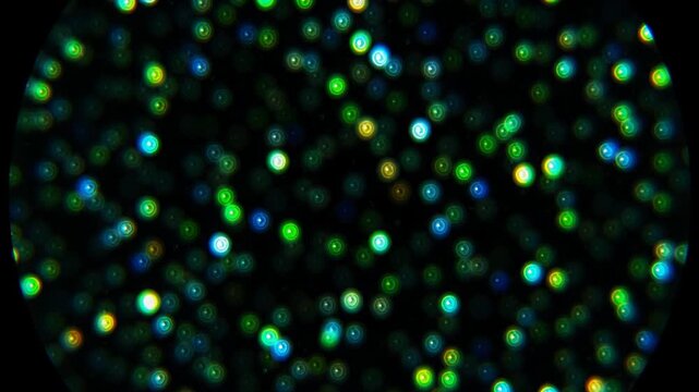 Green blue and gold fluorescent dots flickering inside a circular microscope field