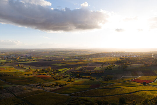 Herbst in Ober-Olm (Rheinhessen)