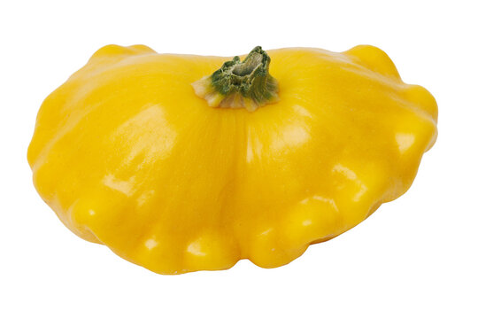 A yellow pattypan squash isolated on a white background. Smooth, round, warty surface