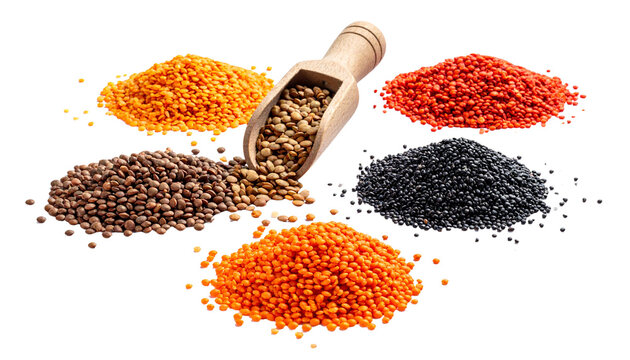 piles of dry lentils in red, green, brown, and black varieties beside a wooden scoop spilling a few loose lentils, isolated on transparent background