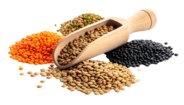 piles of dry lentils in red, green, brown, and black varieties beside a rustic wooden scoop spilling a few loose lentils, isolated on transparent background.