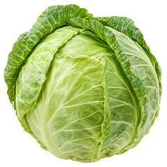 Plakat Fresh, vibrant green cabbage head with tightly packed leaves is isolated on a clean white background, showcasing its natural texture and healthy appearance