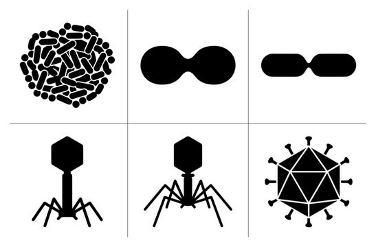 Microorganism and virus silhouettes set with bacteria, bacteriophage and coronavirus for science and medicine