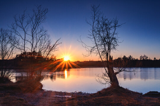 Sunset over Fohnsee lake with tree silhouettes