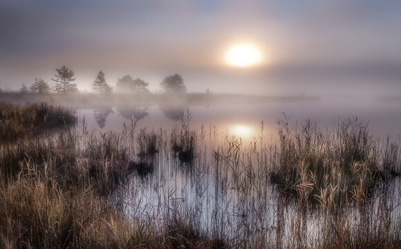 Sunrise over foggy Ostersee lake in Bavaria, Germany