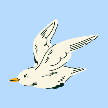 Ivory Gull Flying with Wings Spread, Arctic Seabird Hand Drawn Illustration for Wildlife Guides, Bird Identification Cards, Educational Posters, Children Books and Polar Nature Materials