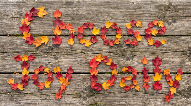 Autumn Maple Leaves Typography Quote on Pine Wood