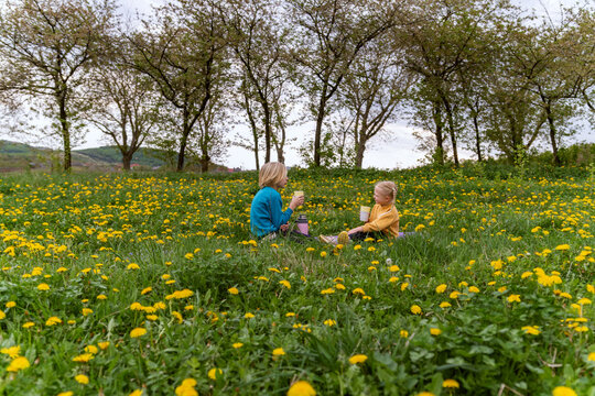 Two children sharing drinks in dandelion meadow during spring picnic near leafing trees under soft overcast sky relaxed outdoor leisure with friendly conversation