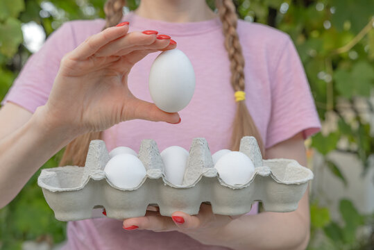 Woman's hands gently holding a carton of white eggs while carefully picking up one, highlighting concepts of fresh farm produce, natural food, and healthy ingredients