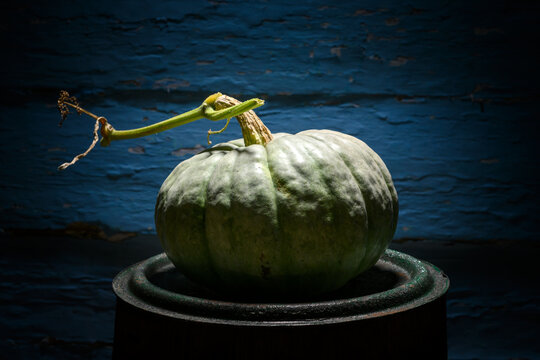 Green pumpkin on wooden barrel against blue wall in moody lighting. Minimal autumn still life with squash and rustic texture