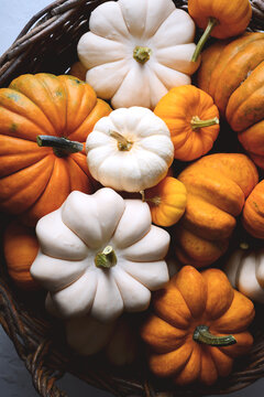 Close-up of wicker basket full of orange pumpkins in various sizes for fall harvest. Seasonal holiday background perfect for Thanksgiving or Halloween decor