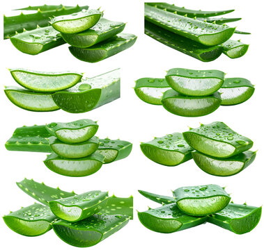 Aloe vera leaves with slices showing natural gel