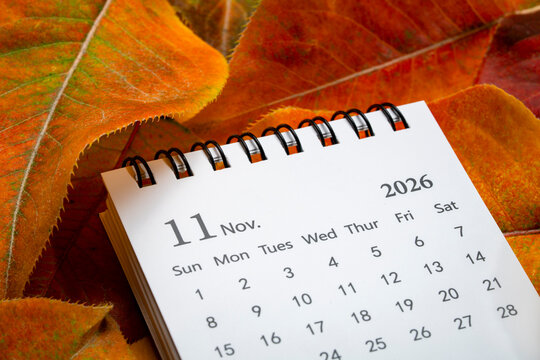 November 2026 - small spiral desktop calendar against dry colorful leaves, time and business concept