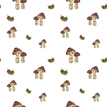 Seamless pattern of wild mushrooms and acorns on white background