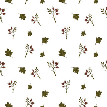 Seamless pattern of rosehip branches and oak leaves on white