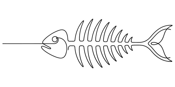 Fish skeleton continuous line art drawing in black silhouette style isolated for biology education or graphic design use.