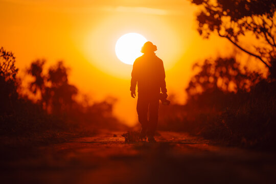 Explorer walking towards a golden sunset