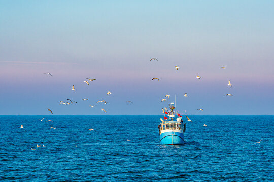 Fischerboot mit M&ouml;wen auf der Ostsee vor Warnem&uuml;nde