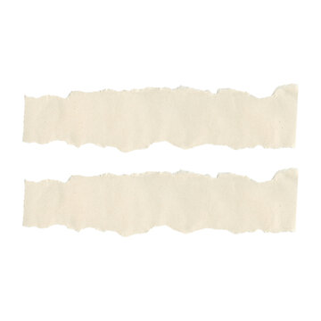 Pair of rectangular white paper strips with rough torn edges sheet deckled edge background design element