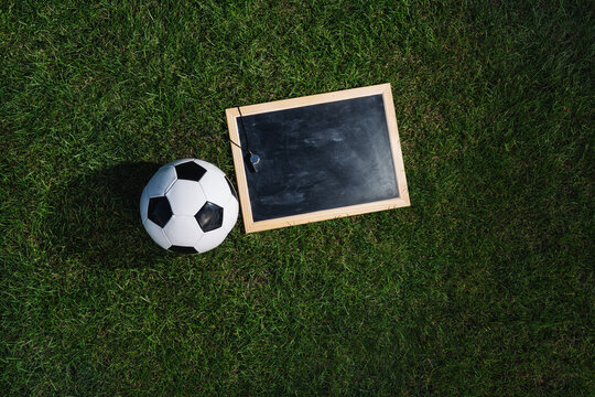 green grass texture with a soccer ball - well groomed turf in the stadium