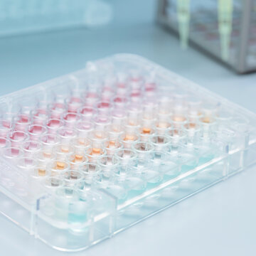 96 Well Microplate with Colorful Liquid Samples in Modern Research Laboratory