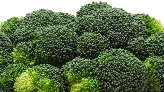 Fresh green broccoli florets detailed texture, isolated on transparent background