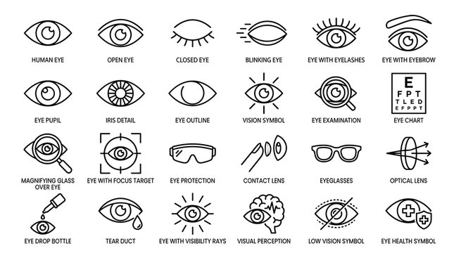 Minimal Linear Eye Icons Set &ndash; Vision and Optical Outline Vector Symbols