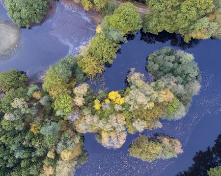 Mixed forest in autumn, colouring, aerial view, forest, autumnal, Ahlhorn fish ponds, Nieders&auml;chsische Landesforst, Ahlhorn, Lower Saxony, Germany