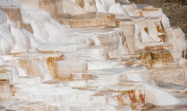 Sinter terraces with calcareous tuff deposits, hot springs, colorful mineral deposits, Palette Springs, Lower Terraces, Mammoth Hot Springs, Yellowstone National Park, Wyoming, USA