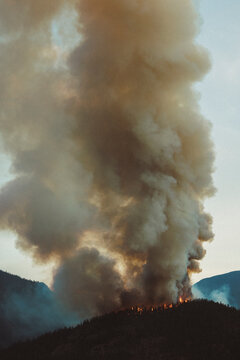 Massive wildfire burning on forested mountain ridge with dense smoke