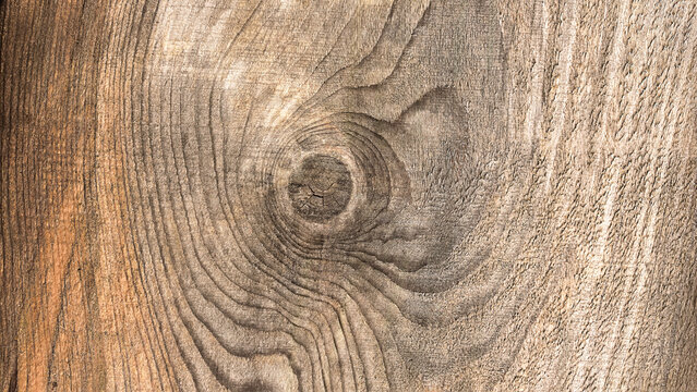 Old wood texture with natural knot, rustic brown widescreen background