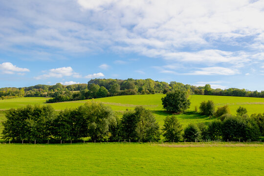 Beginning of autumn landscape, The terrain hilly countryside in border of Netherlands and Belgium, Lush green grass  meadow and trees on the hillside, Sint-Martens-Voeren, Belgian province of Limburg.