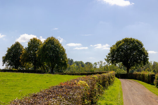 The terrain hilly countryside with gravel path, green grass meadow under blue sky in late summer, Noorbeek is a village in the Dutch province of Limburg, Municipality of Eijsden-Margraten, Netherlands