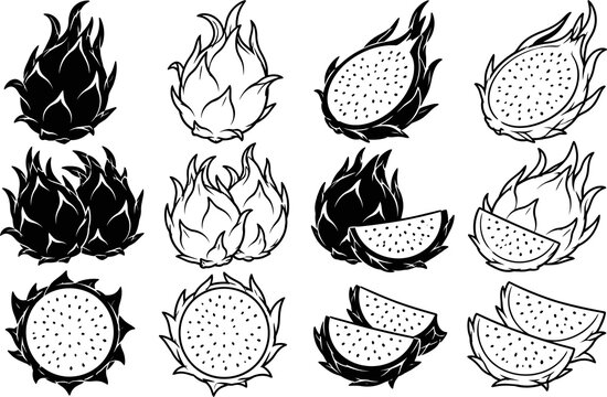 Dragon Fruit Icons Set in Black and White Minimalist Vector Style